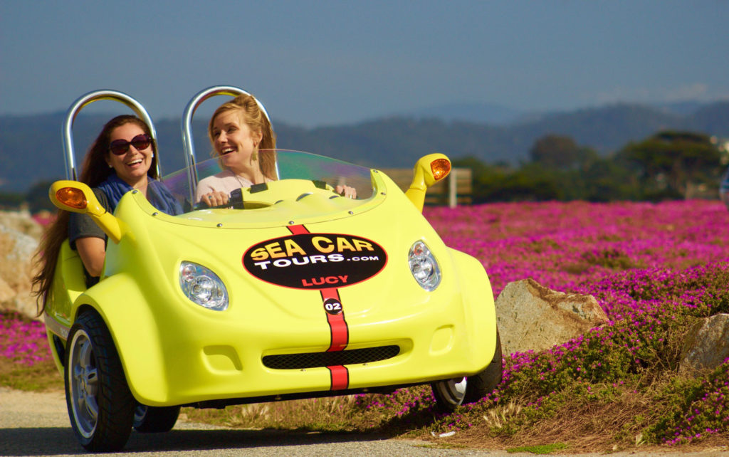 Two Girls Passing a Bed of Pink Flowers in a GoCar