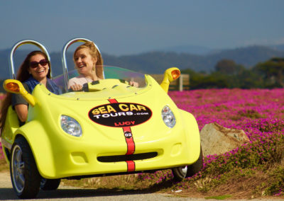 Two Girls Passing a Bed of Pink Flowers in a GoCar