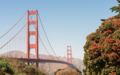 Best 15 Fall Activities in San Francisco