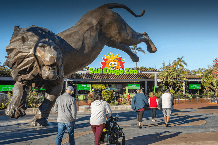 guests walking towards the San Diego Zoo entrance with a large statue of a lion 