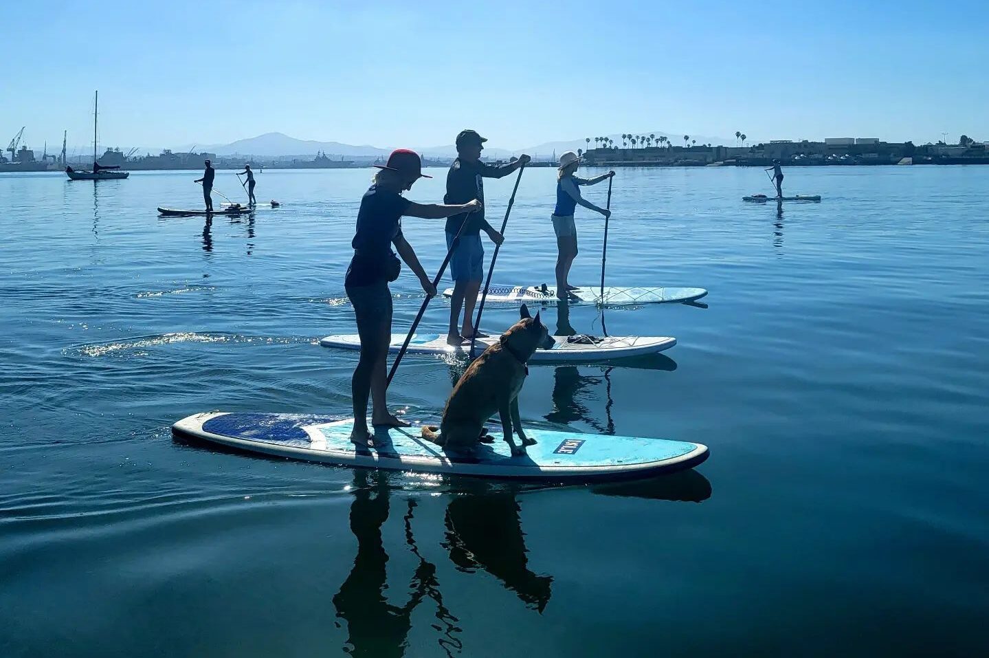 three people and a dog on paddle boards near Coronado Island